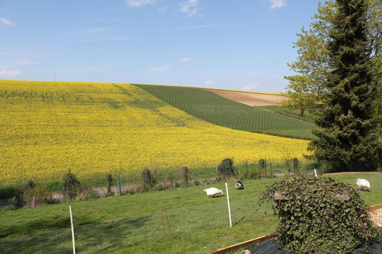 Happy & Relax Mentque-Nortbecourt Exterior foto